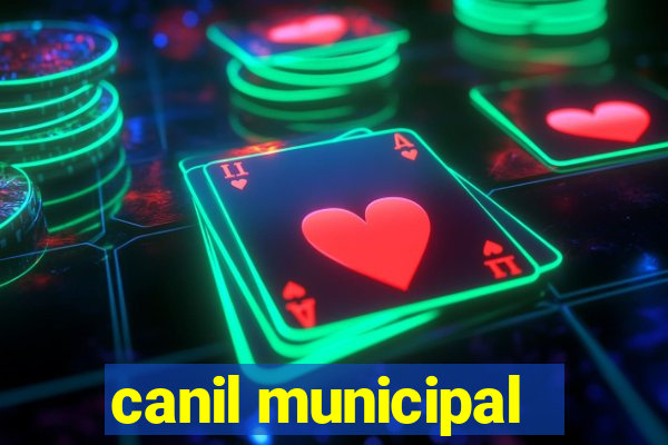 canil municipal